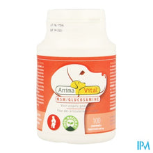 Load image into Gallery viewer, Msm Glucosamine Comp 100