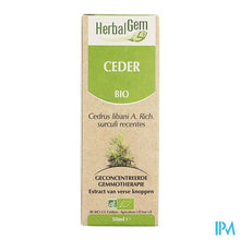 Afbeelding in Gallery-weergave laden, Herbalgem Libanonceder Maceraat 50ml