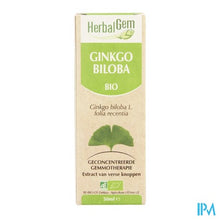 Charger l'image dans la galerie, Herbalgem Ginkgo Biloba Maceraat 50ml