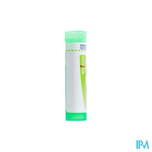 Afbeelding in Gallery-weergave laden, Podophyllum Peltatum 5ch Gr 4g Boiron