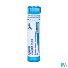 Afbeelding in Gallery-weergave laden, Valeriana Officinalis 9ch Gr 4g Boiron