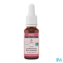 Afbeelding in Gallery-weergave laden, Bachbloesem Bio N40 Druppels Energie 20ml