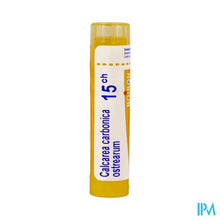 Afbeelding in Gallery-weergave laden, Calcarea Carbonica Ostrearum 15ch Gr 4g Boiron