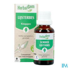 Afbeelding in Gallery-weergave laden, Herbalgem Lijsterbes Bio 30ml