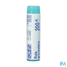 Afbeelding in Gallery-weergave laden, Ruta Graveolens 200k Gl Boiron