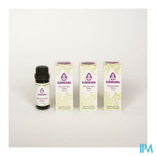Charger l'image dans la galerie, Sjankara Zonneroosje Ess. Olie Bio 2,5ml