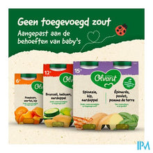 Load image into Gallery viewer, Olvarit Wortel Kip Puree 2x200g 8m01