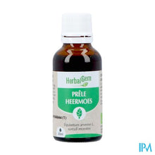 Load image into Gallery viewer, Herbalgem Heermoes Bio 30ml