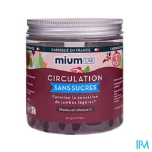 Load image into Gallery viewer, Les Miraculeux Bloedsomloop Z/suikers Gummies 42