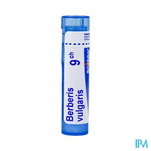 Afbeelding in Gallery-weergave laden, Berberis Vulgaris 9ch Gr 4g Boiron