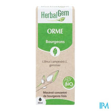 Afbeelding in Gallery-weergave laden, Herbalgem Olm Bio 30ml