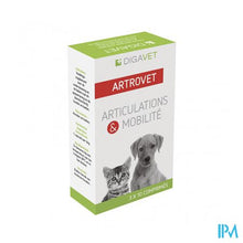 Afbeelding in Gallery-weergave laden, Artrovet Hond Kat Comp 3x10