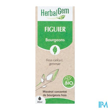 Afbeelding in Gallery-weergave laden, Herbalgem Vijgenboom Bio 30ml