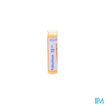 Load image into Gallery viewer, Folliculinum 15ch Gr 4g Boiron