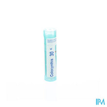 Afbeelding in Gallery-weergave laden, Colocynthis 30k Gr 4g Boiron