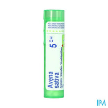 Afbeelding in Gallery-weergave laden, Avena Sativa 05ch Gr 4g Boiron