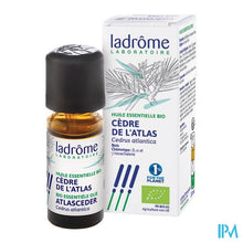 Afbeelding in Gallery-weergave laden, Ladrome Cedrus Atlantica - Atlasceder 10ml
