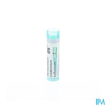Afbeelding in Gallery-weergave laden, Serotoninum Creatininum Sulfur. 05ch Gr 4g Boiron