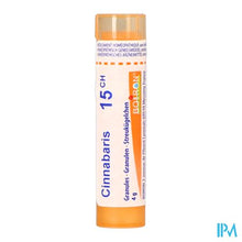 Afbeelding in Gallery-weergave laden, Cinnabaris 15ch Gr 4g Boiron