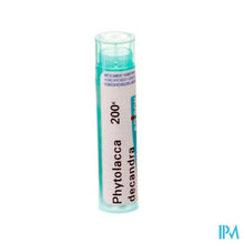 Afbeelding in Gallery-weergave laden, Phytolacca Decandra 200k Gr 4g Boiron