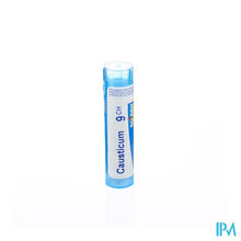 Afbeelding in Gallery-weergave laden, Causticum Hahnemanni 9ch Gr 4g Boiron