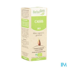 Charger l'image dans la galerie, Herbalgem Zwarte Bes Maceraat 15ml