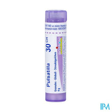 Afbeelding in Gallery-weergave laden, Pulsatilla 30ch Gr 4g Boiron