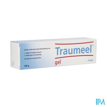 Afbeelding in Gallery-weergave laden, Traumeel Gel 100g Heel