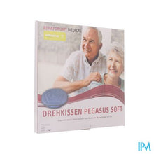Afbeelding in Gallery-weergave laden, Draaikussen Rotary Economy