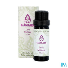 Afbeelding in Gallery-weergave laden, Sjankara Lork Ess. Olie 11ml