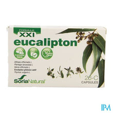 Load image into Gallery viewer, Soria 26c Eucalipton Xxi Caps 30