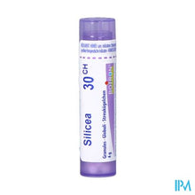 Afbeelding in Gallery-weergave laden, Silicea 30ch Gr 4g Boiron