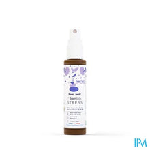 Load image into Gallery viewer, Les Bienfaits Stress Spray 30ml