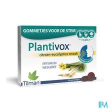 Afbeelding in Gallery-weergave laden, Plantivox Pastilles 24