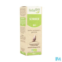 Afbeelding in Gallery-weergave laden, Herbalgem Lijsterbes Maceraat 50ml