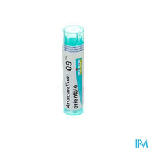 Afbeelding in Gallery-weergave laden, Anacardium Orientale 9ch Gr 4g Boiron