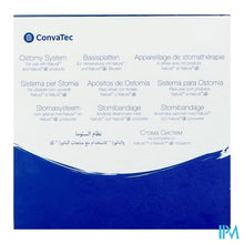 Afbeelding in Gallery-weergave laden, Natura Platen Convex Durahesive 22/45mm 5 125281