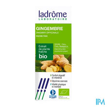 Afbeelding in Gallery-weergave laden, Ladrome Zingiber Officinalis/gember 50ml