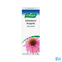 Load image into Gallery viewer, A.Vogel Echinaforce 100ml