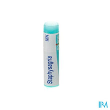 Afbeelding in Gallery-weergave laden, Staphysagria Mk Gl Boiron