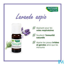 Afbeelding in Gallery-weergave laden, Phytosun Spijklavendel Fr-bio-01 Be2 5ml