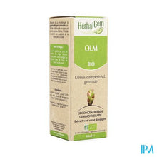 Afbeelding in Gallery-weergave laden, Herbalgem Olm Maceraat 50ml