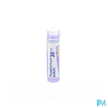 Afbeelding in Gallery-weergave laden, Phosphoricum Acidum 30ch Gr 4g Boiron