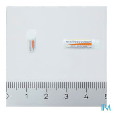 Afbeelding in Gallery-weergave laden, Oscillococcinum Doses 30 X 1g Boiron