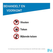 Afbeelding in Gallery-weergave laden, Frontline Spot On Hond 2-10kg Pipet 3x0,67ml