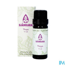 Load image into Gallery viewer, Sjankara Thuya Ess. Olie 11