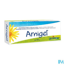 Afbeelding in Gallery-weergave laden, Arnigel Tube 45g Boiron