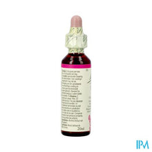 Afbeelding in Gallery-weergave laden, Bach Flower Remedie 11 Elm 20ml