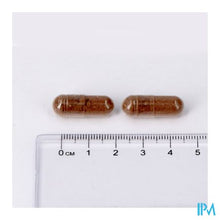 Afbeelding in Gallery-weergave laden, Regluvits Caps 60 Lepivits