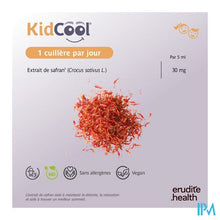 Load image into Gallery viewer, Kidcool Siroop Fl 150ml